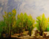 Jackson Hensley Gallery: Image